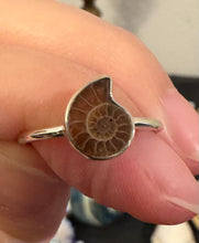 Load image into Gallery viewer, Ammonite Ring Size 7 925 Silver
