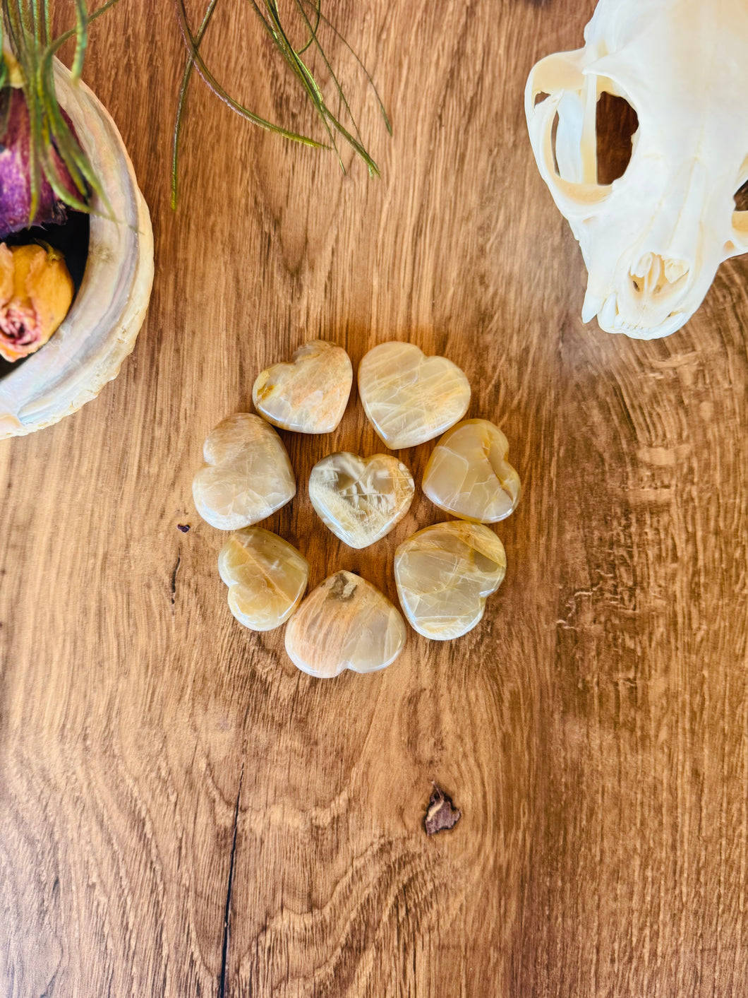 BLIND CLAIM - 3pc Peach Moonstone Heart Carvings