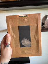 Load image into Gallery viewer, DESTASH Luna Moth Rose Quartz Moon Oddity Wall Hanger
