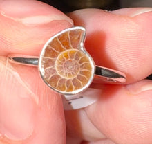 Load image into Gallery viewer, Ammonite Ring Size 7 925 Silver
