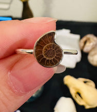 Load image into Gallery viewer, Ammonite Ring Size 7 925 Silver
